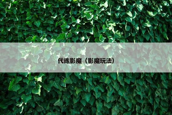 代练影魔(影魔玩法) 代练影魔(影魔玩法)