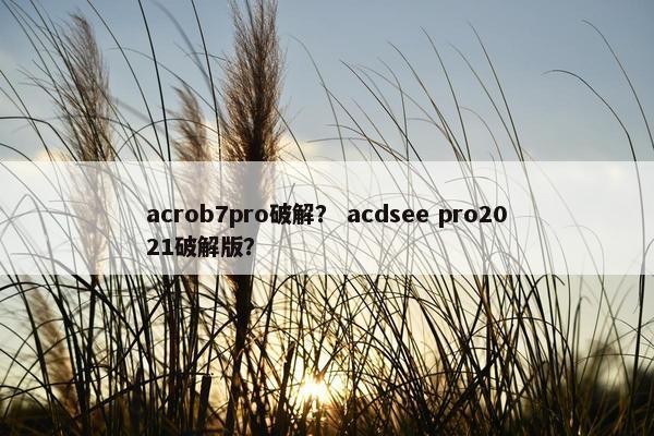 acrob7pro破解? acdsee pro2021破解版? acrob7pro破解? acdsee pro2021破解版?
