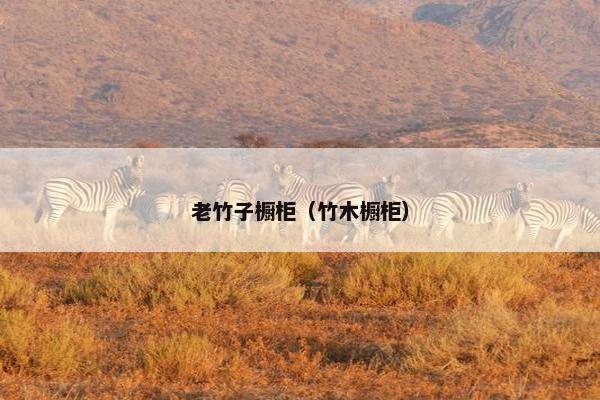 老竹子橱柜(竹木橱柜) 老竹子橱柜(竹木橱柜)