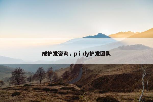 成护发咨询，pⅰdy护发团队