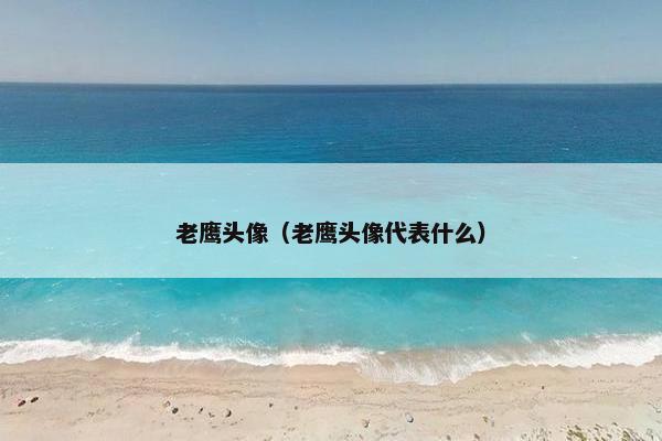 老鹰头像(老鹰头像代表什么) 老鹰头像(老鹰头像代表什么)