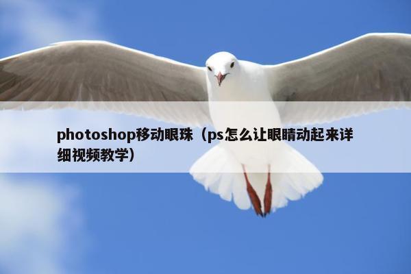 photoshop移动眼珠(ps怎么让眼睛动起来详细视频教学) photoshop移动眼珠(ps怎么让眼睛动起来详细视频教学)