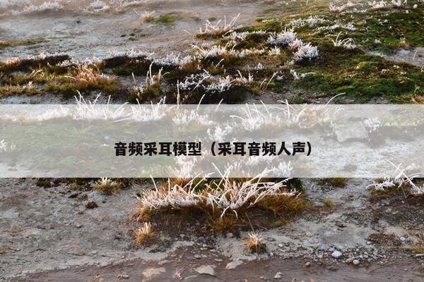 音频采耳模型(采耳音频人声) 音频采耳模型(采耳音频人声)