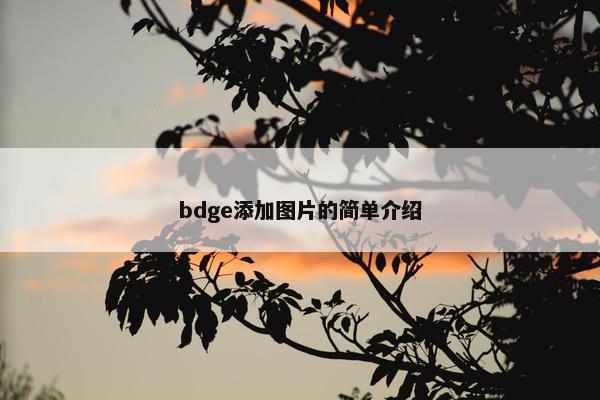 bdge添加图片的简单介绍 bdge添加图片的简单介绍