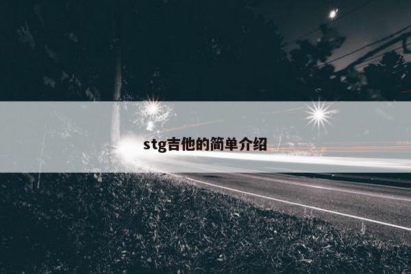 stg吉他的简单介绍