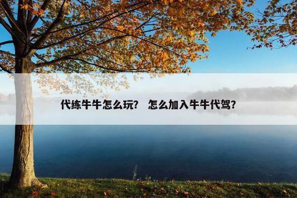 代练牛牛怎么玩? 怎么加入牛牛代驾? 代练牛牛怎么玩? 怎么加入牛牛代驾?