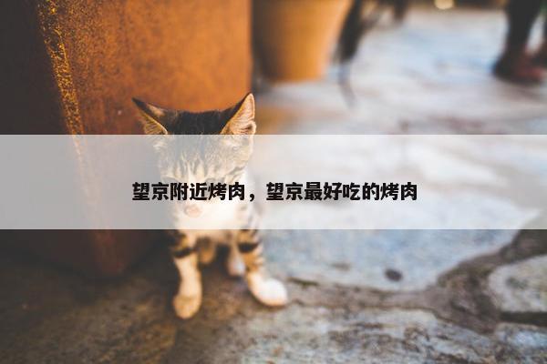 望京附近烤肉，望京最好吃的烤肉