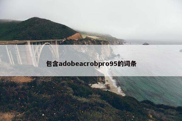 包含adobeacrobpro95的词条