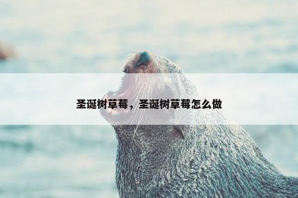 圣诞树草莓，圣诞树草莓怎么做