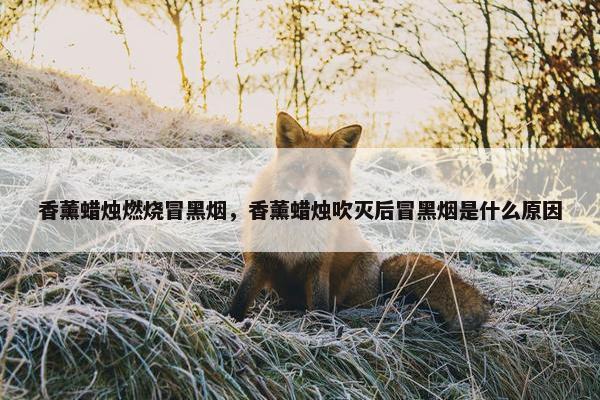 香薰蜡烛燃烧冒黑烟,香薰蜡烛吹灭后冒黑烟是什么原因 香薰蜡烛燃烧冒黑烟,香薰蜡烛吹灭后冒黑烟是什么原因