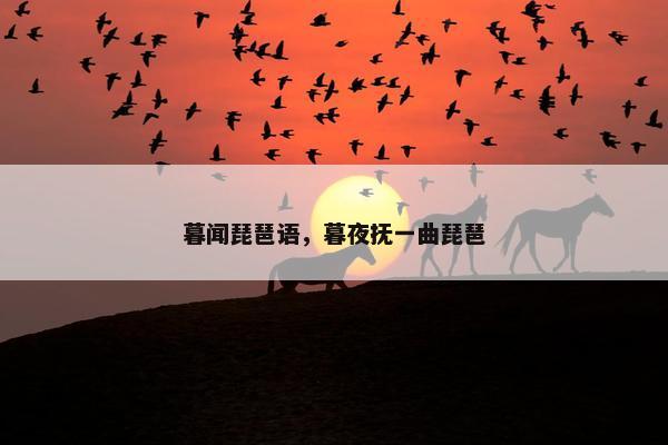暮闻琵琶语，暮夜抚一曲琵琶