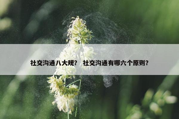 社交沟通八大规? 社交沟通有哪六个原则? 社交沟通八大规? 社交沟通有哪六个原则?