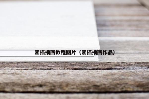 素描插画教程图片（素描插画作品）