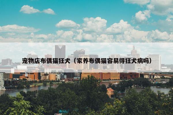 宠物店布偶猫狂犬（家养布偶猫容易得狂犬病吗）