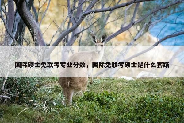 国际硕士免联考专业分数,国际免联考硕士是什么套路 国际硕士免联考专业分数,国际免联考硕士是什么套路