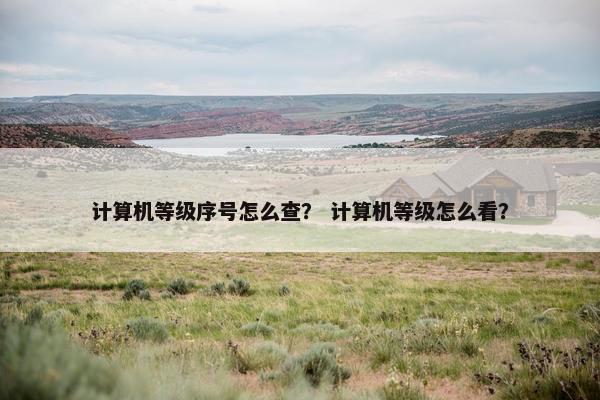计算机等级序号怎么查？ 计算机等级怎么看？