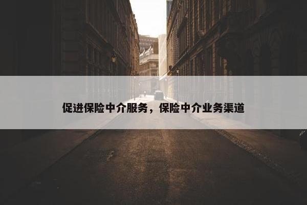 促进保险中介服务，保险中介业务渠道