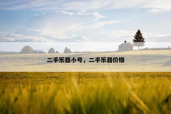 二手乐器小号,二手乐器价格 二手乐器小号,二手乐器价格