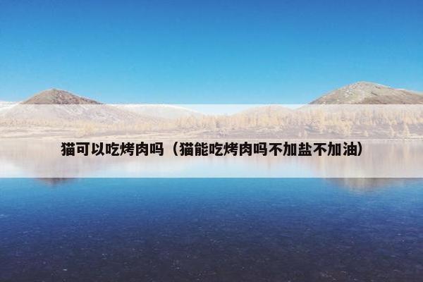 猫可以吃烤肉吗（猫能吃烤肉吗不加盐不加油）