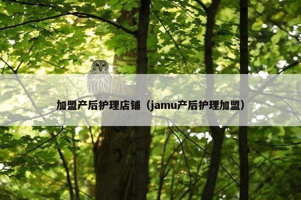 加盟产后护理店铺（jamu产后护理加盟）