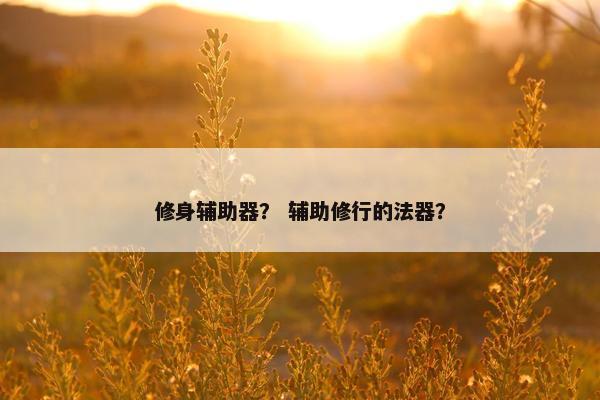 修身辅助器? 辅助修行的法器? 修身辅助器? 辅助修行的法器?