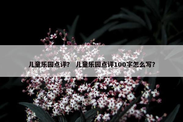 儿童乐园点评？ 儿童乐园点评100字怎么写？