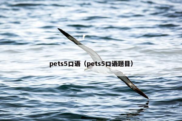 pets5口语（pets5口语题目）