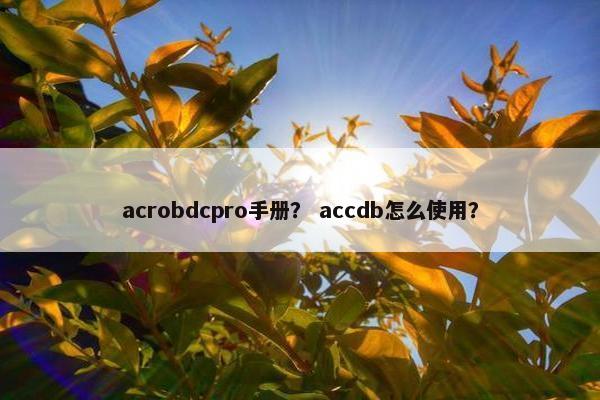 acrobdcpro手册？ accdb怎么使用？