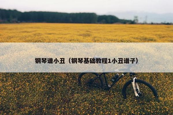 钢琴谱小丑（钢琴基础教程1小丑谱子）