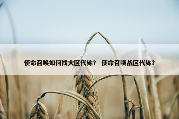 使命召唤如何找大区代练？ 使命召唤战区代练？