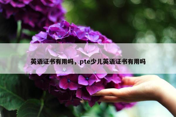 英语证书有用吗，pte少儿英语证书有用吗