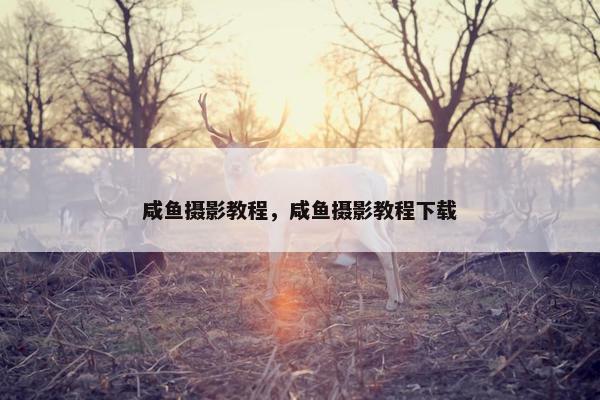 咸鱼摄影教程，咸鱼摄影教程下载