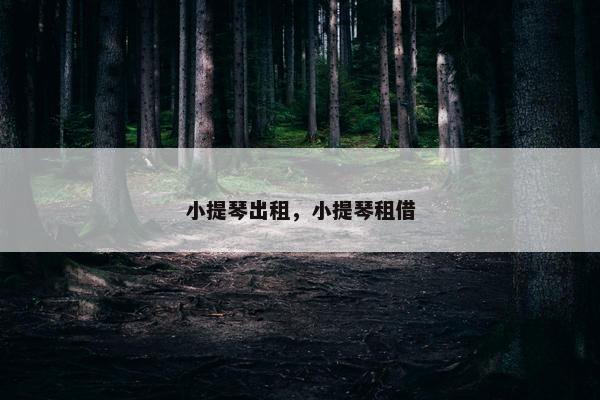 小提琴出租，小提琴租借