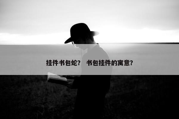 挂件书包蛇？ 书包挂件的寓意？