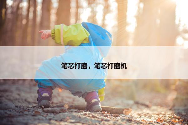 笔芯打磨，笔芯打磨机