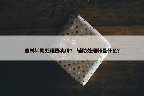 吉林辅助处理器卖价？ 辅助处理器是什么？