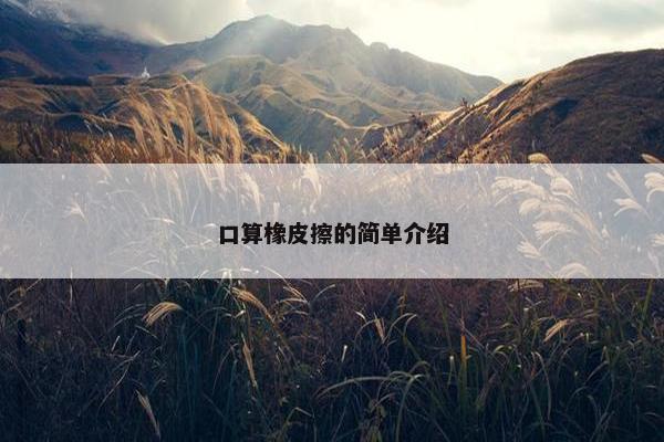 口算橡皮擦的简单介绍 口算橡皮擦的简单介绍