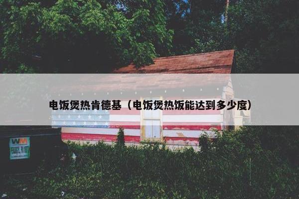 电饭煲热肯德基（电饭煲热饭能达到多少度）