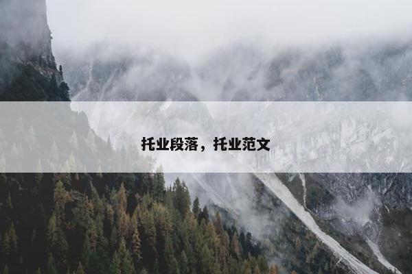 托业段落，托业范文