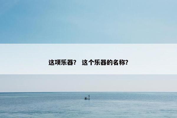 这项乐器? 这个乐器的名称? 这项乐器? 这个乐器的名称?