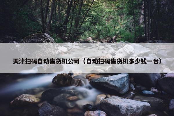 天津扫码自动售货机公司（自动扫码售货机多少钱一台）