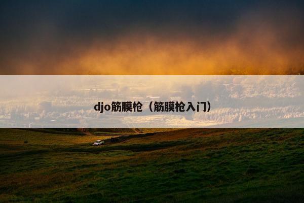 djo筋膜枪（筋膜枪入门）