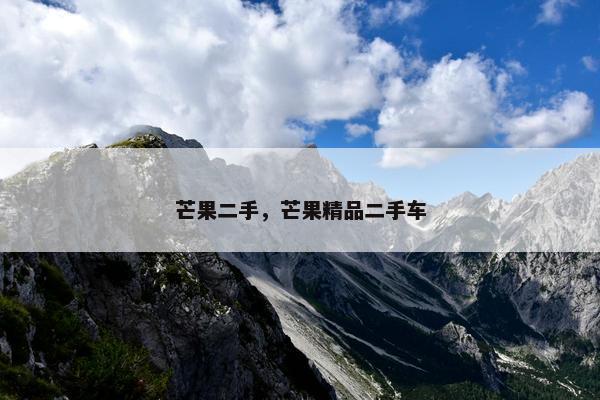 芒果二手,芒果精品二手车 芒果二手,芒果精品二手车