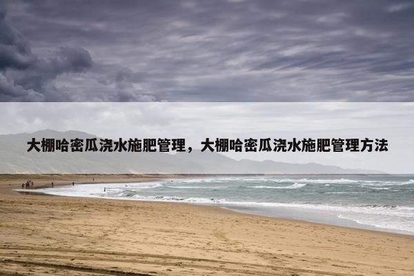 大棚哈密瓜浇水施肥管理,大棚哈密瓜浇水施肥管理方法 大棚哈密瓜浇水施肥管理,大棚哈密瓜浇水施肥管理方法