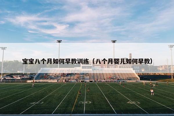 宝宝八个月如何早教训练（八个月婴儿如何早教）