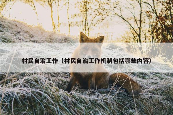 村民自治工作(村民自治工作机制包括哪些内容) 村民自治工作(村民自治工作机制包括哪些内容)