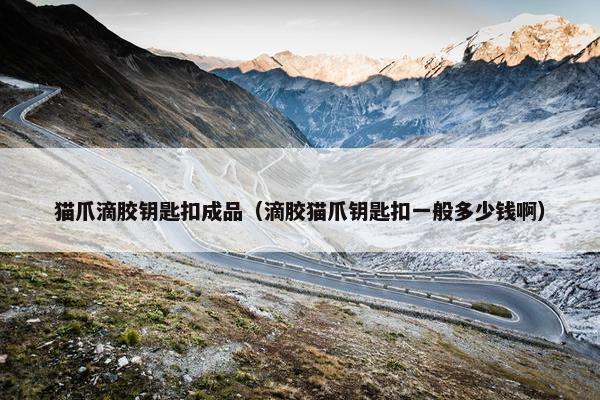 猫爪滴胶钥匙扣成品（滴胶猫爪钥匙扣一般多少钱啊）