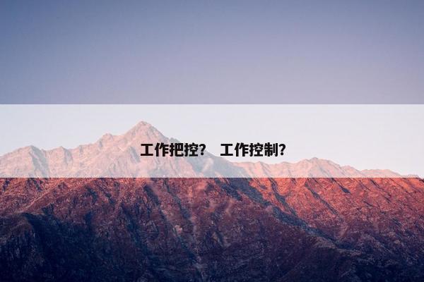 工作把控？ 工作控制？