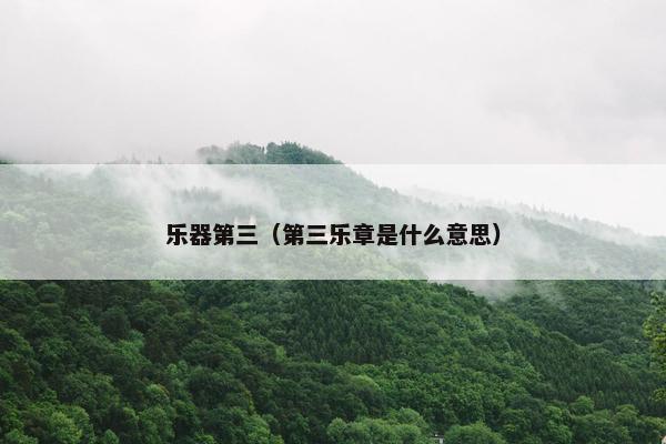 乐器第三(第三乐章是什么意思) 乐器第三(第三乐章是什么意思)