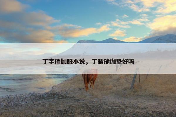 丁字瑜伽服小说，丁晴瑜伽垫好吗